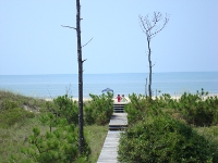 Gulf Of Mexico